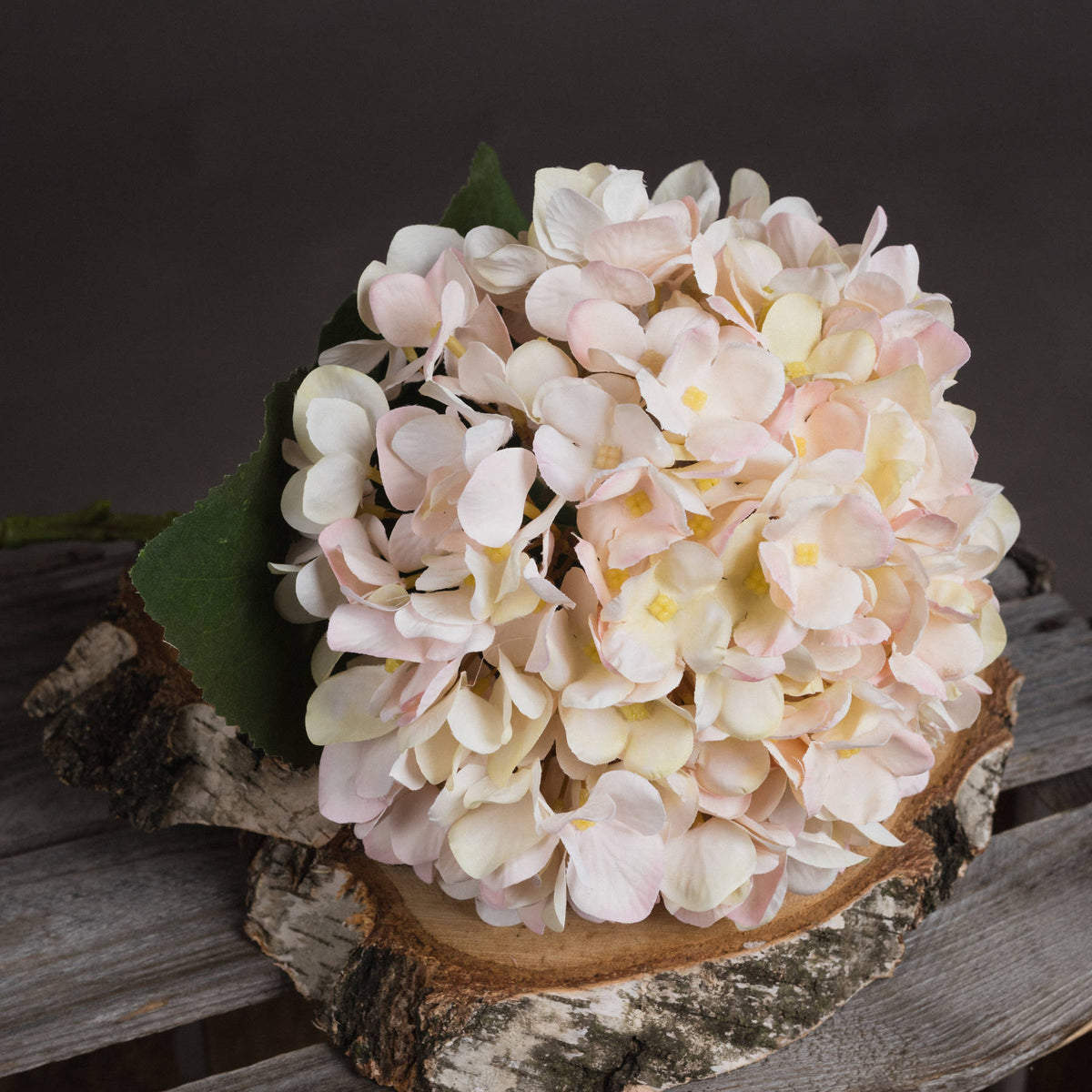 Autumn White Hydrangea - White