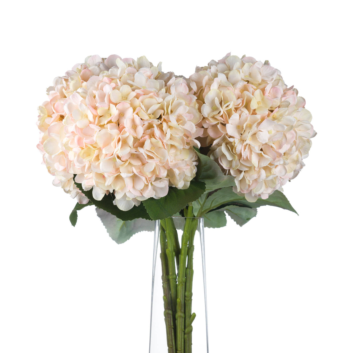 Autumn White Hydrangea - White