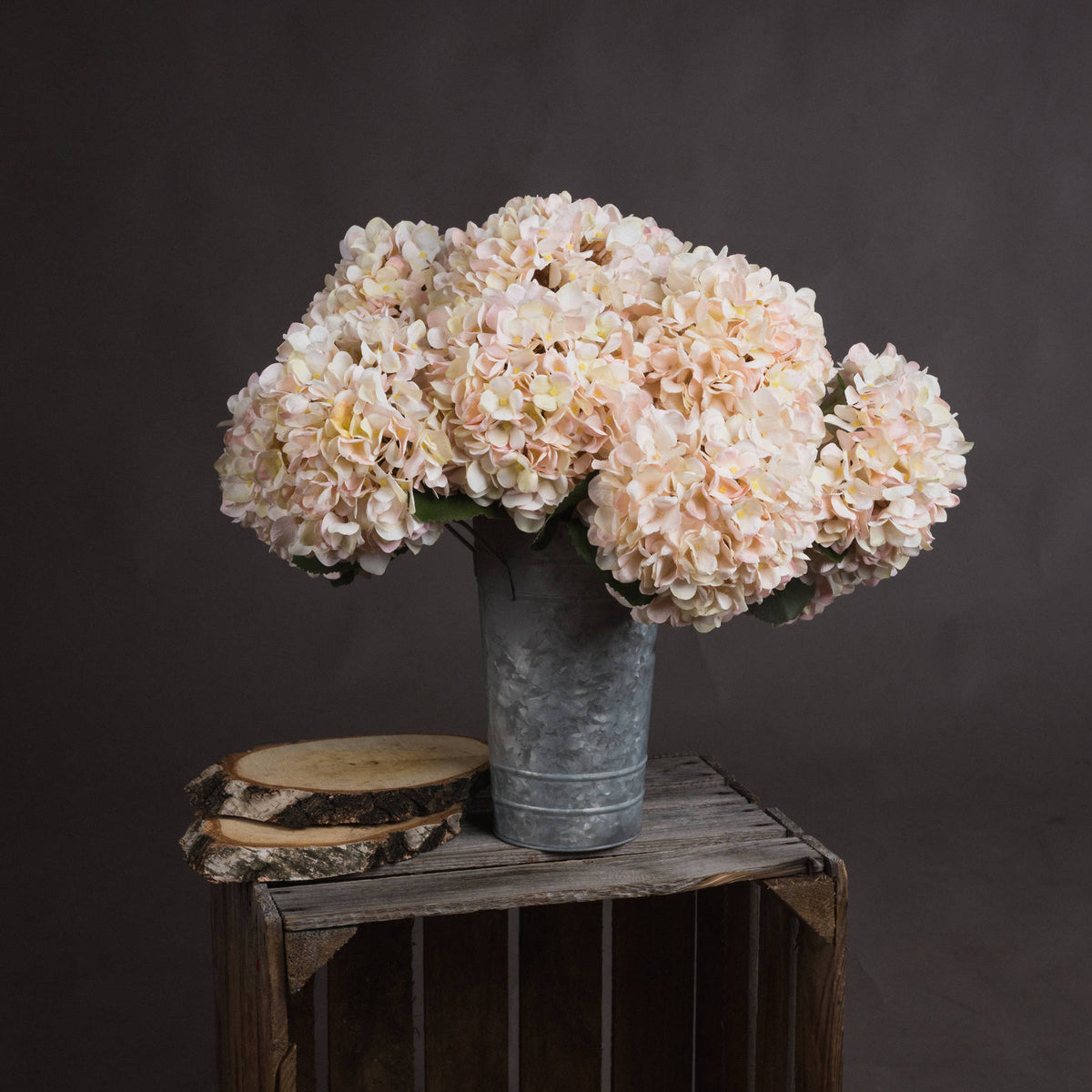 Autumn White Hydrangea - White