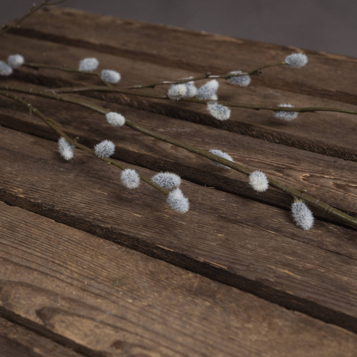 Willow Branch Arrangement - Brown