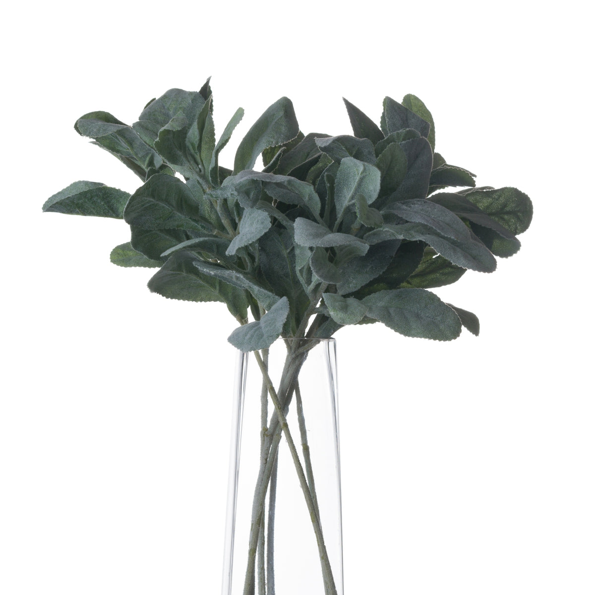 Winter Spray Arrangement with Lambs Ear and Wax Flower