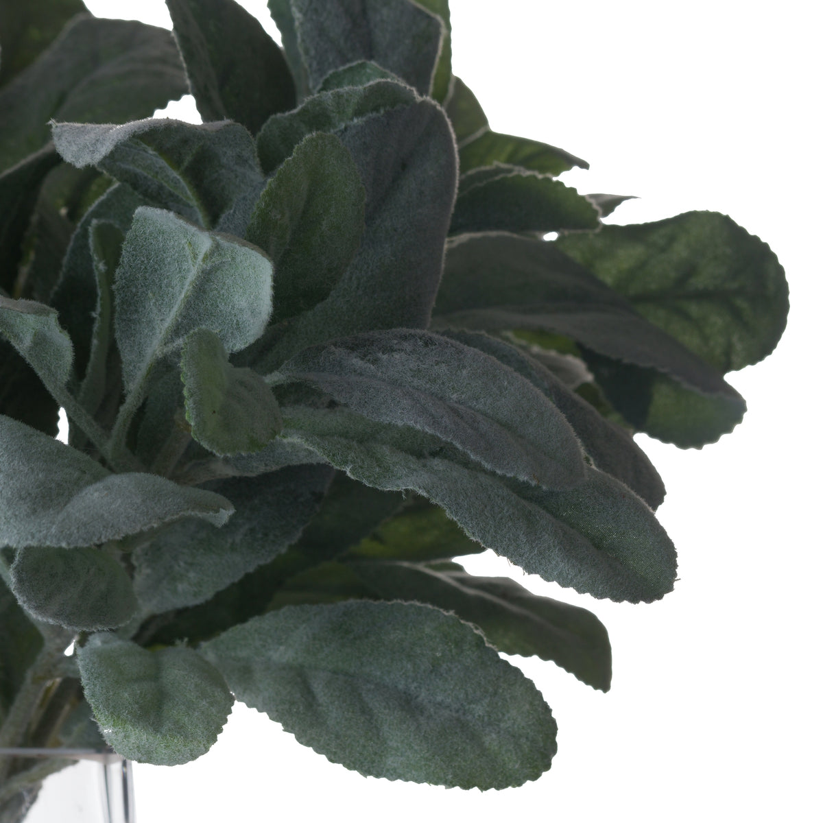 Winter Spray Arrangement with Lambs Ear and Wax Flower