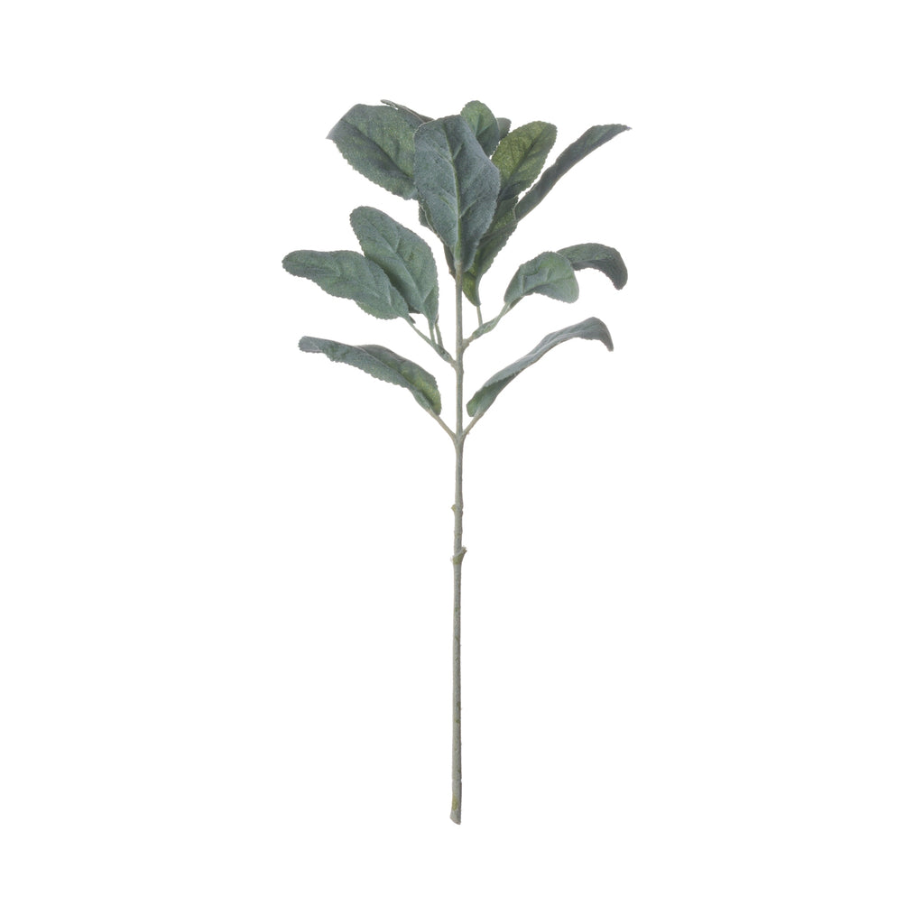 Lambs Ear Spray - Green