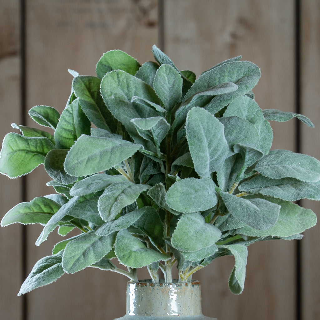 Lambs Ear Spray - Green