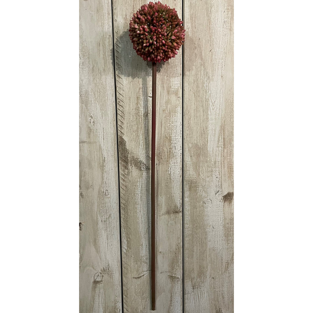 Pink Allium Stem - Pink