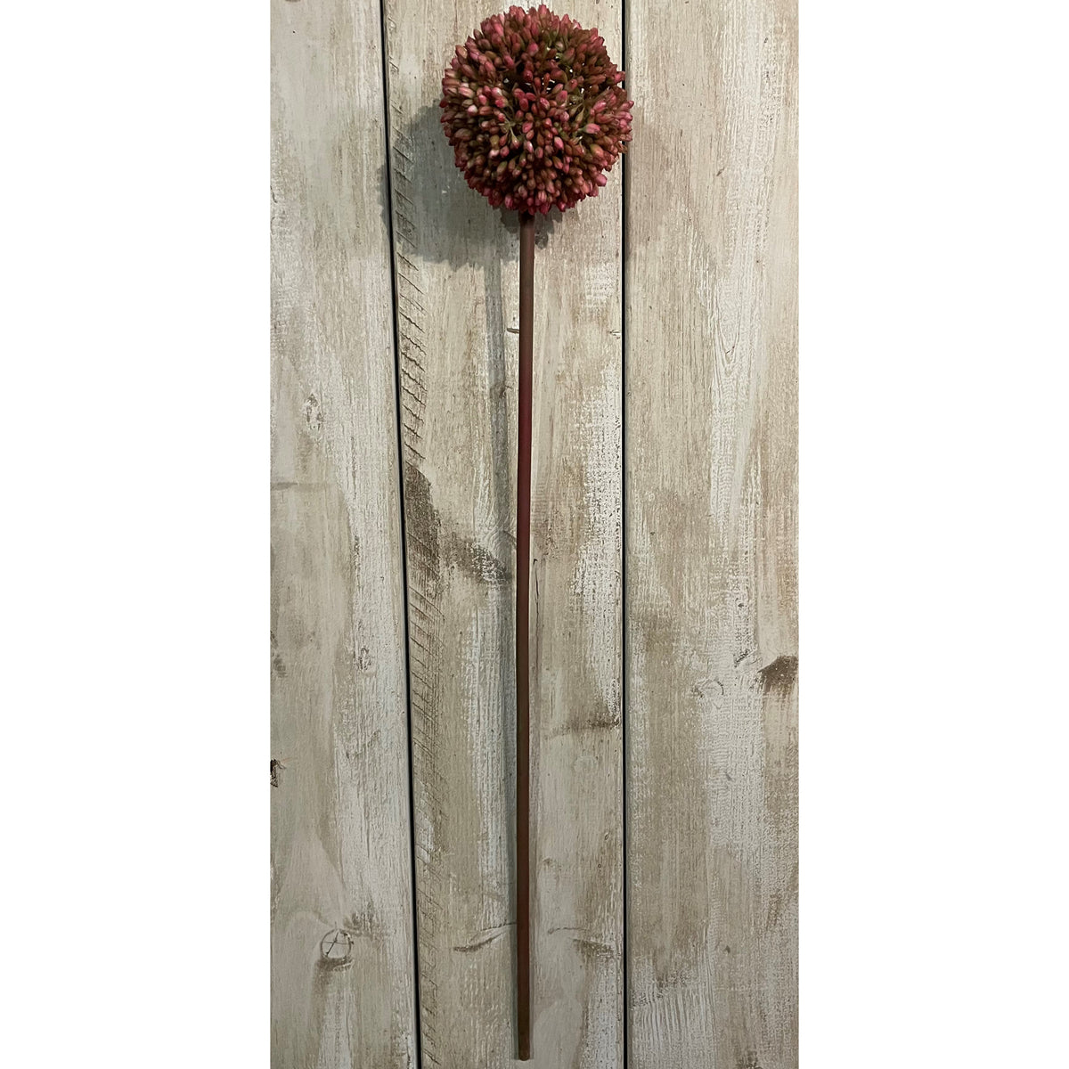 Pink Medium Allium Stem - Pink