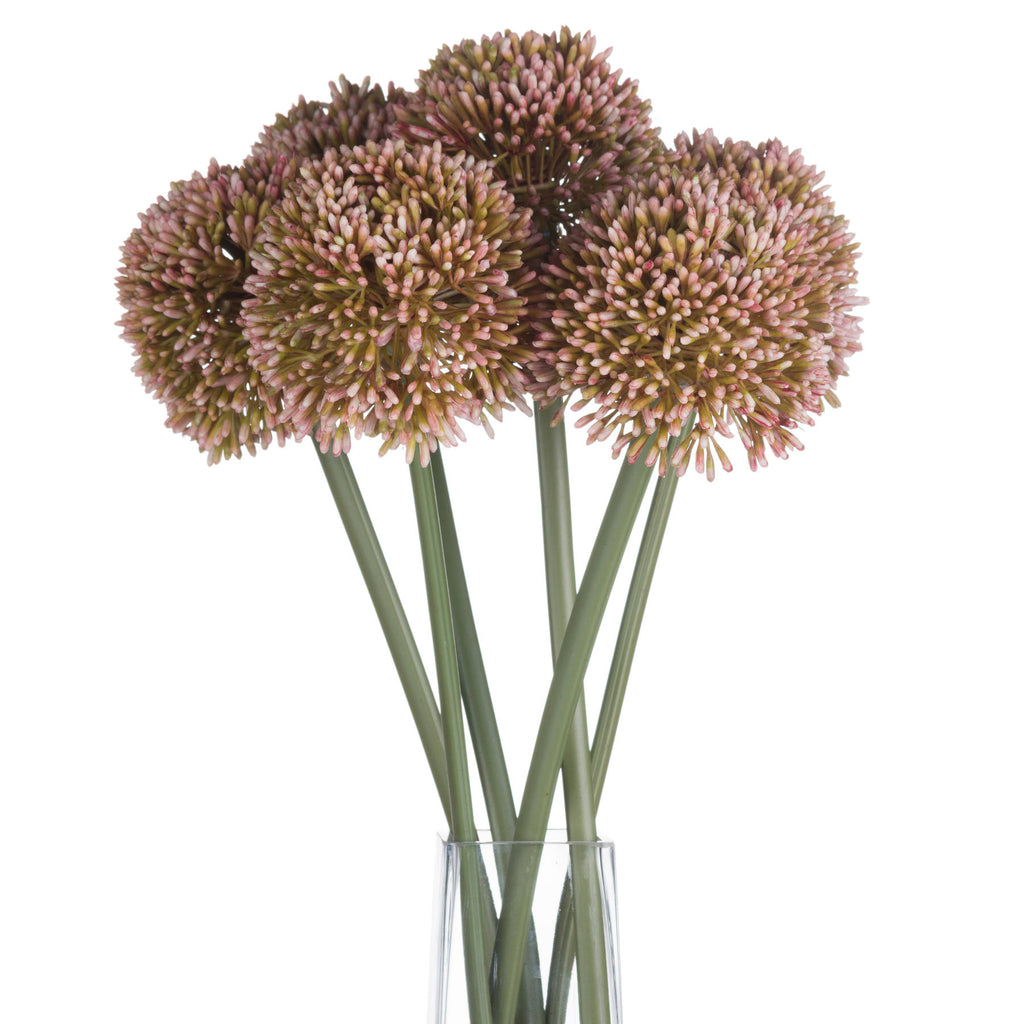 Pink Allium Stem - Pink