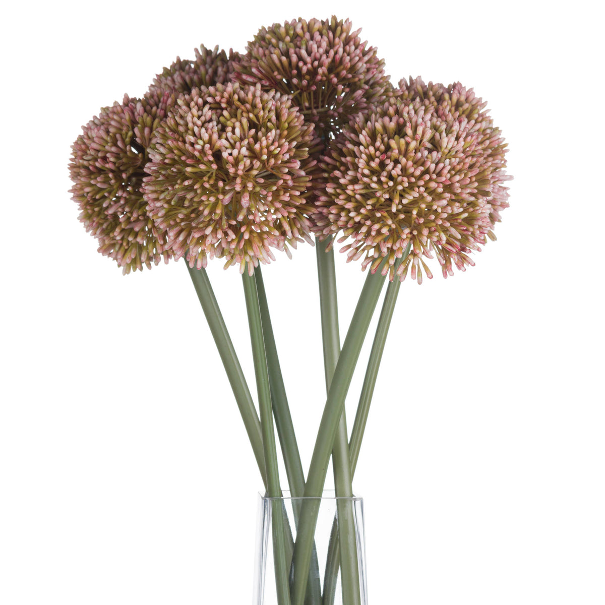 Pink Medium Allium Stem - Pink