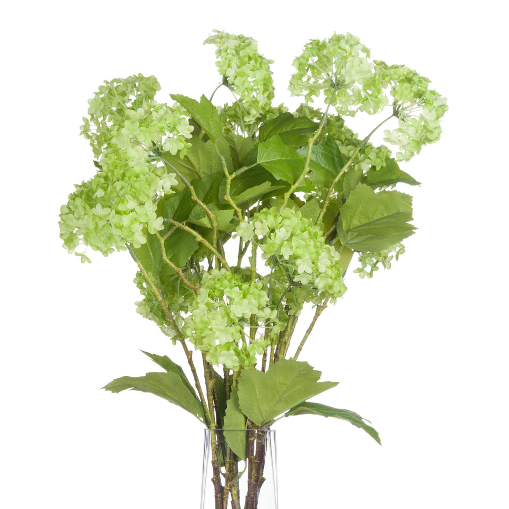 Green Viburnum Spray - Green
