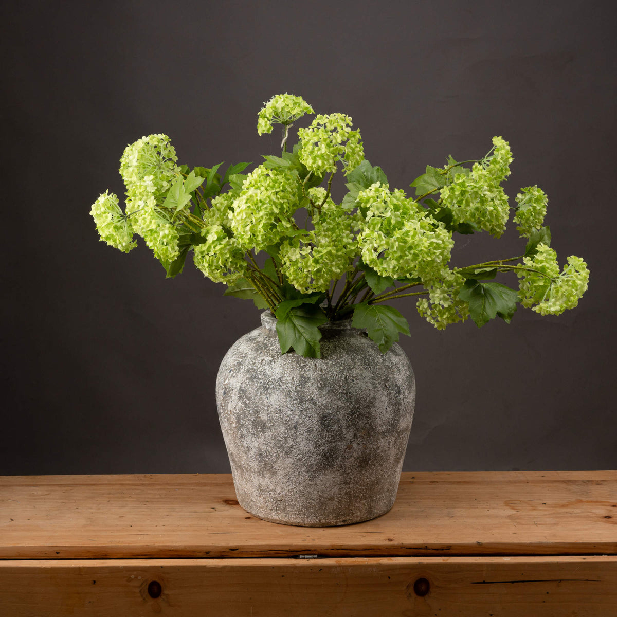 Green Snowball Viburnum Spray