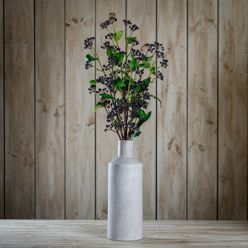 Viburnum Berry - Blue