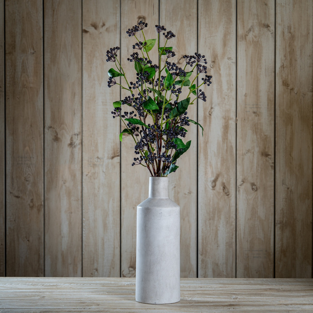 Viburnum Berry - Blue