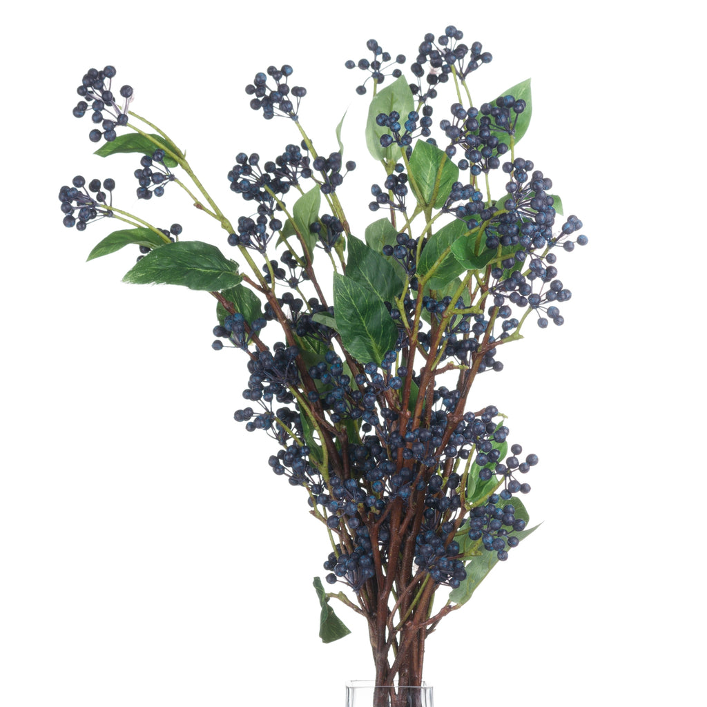 Viburnum Berry - Blue