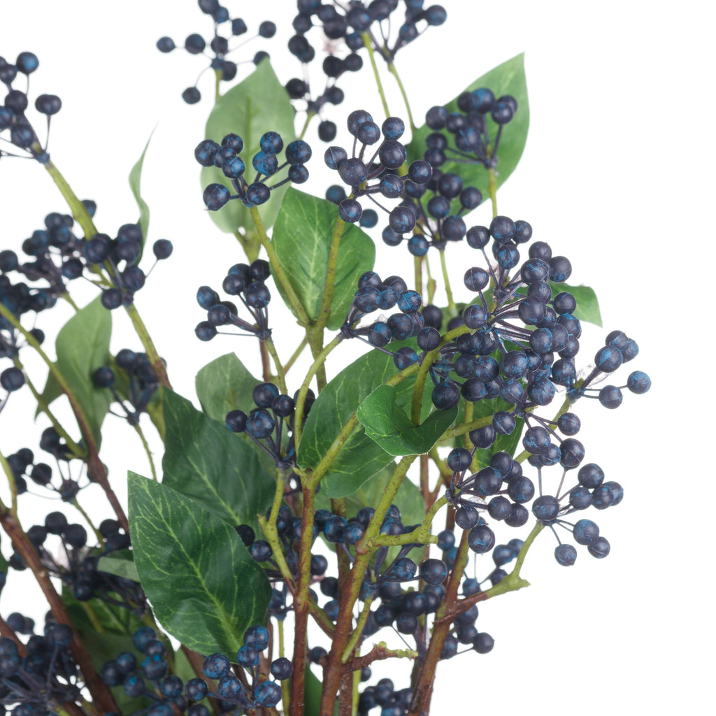 Viburnum Berry - Blue