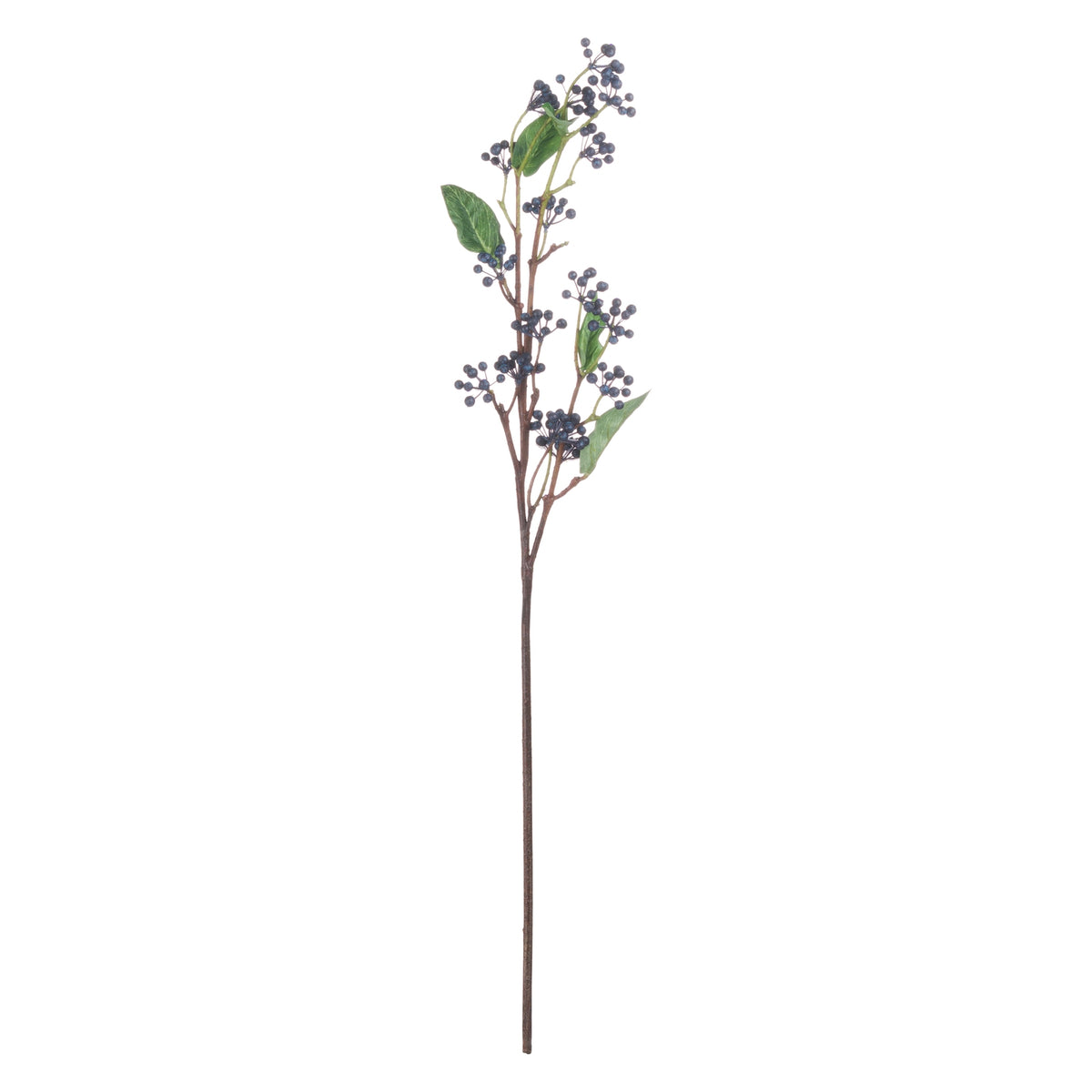 Viburnum Berry - Blue