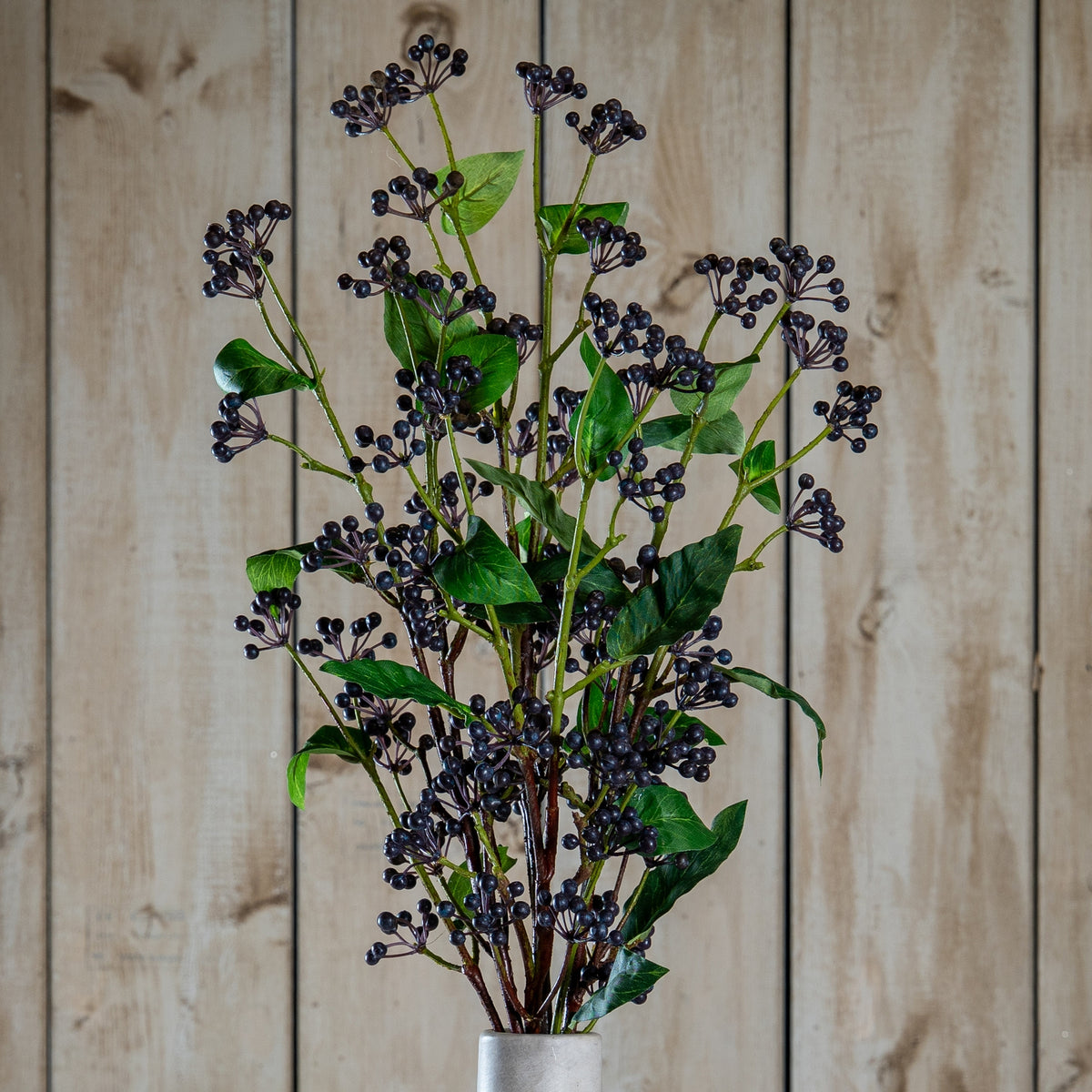 Viburnum Berry - Blue