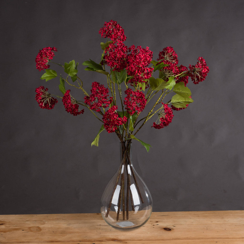 Red Autumnal Viburnum - Red