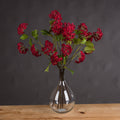Red Autumnal Viburnum - Red