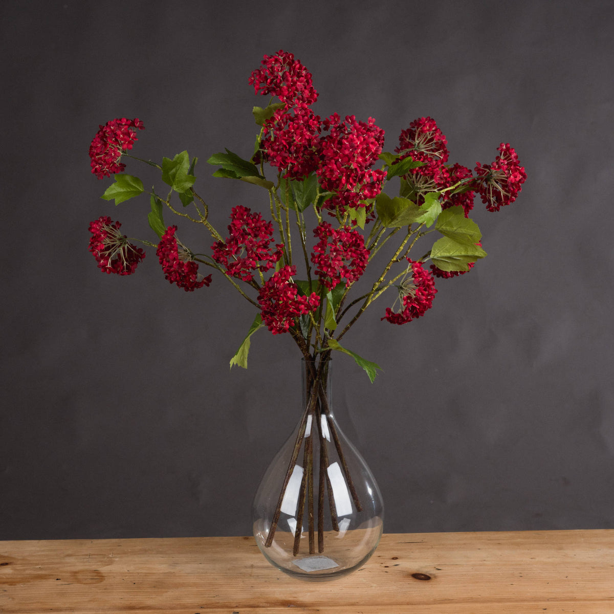 Red Autumnal Viburnum - Red