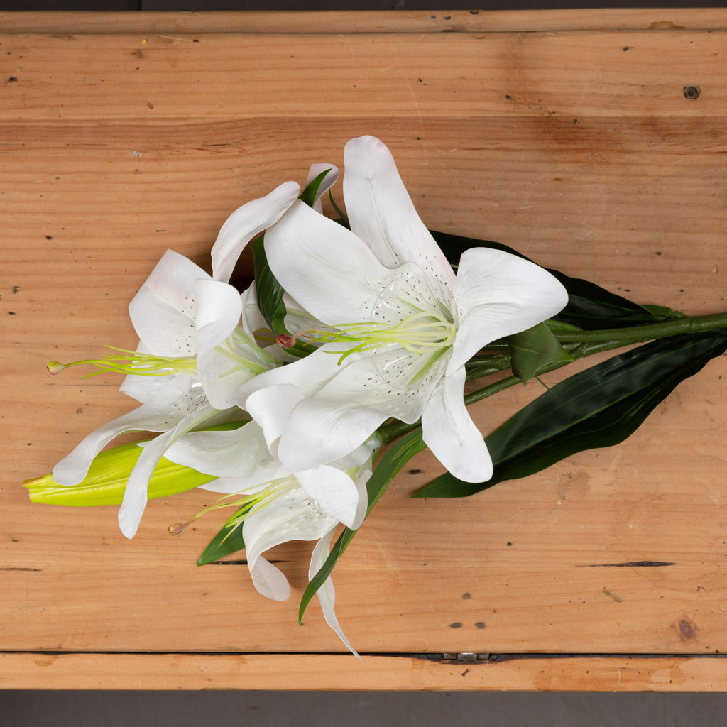 Natural Garden Collection White Nerine Lily Stem - White