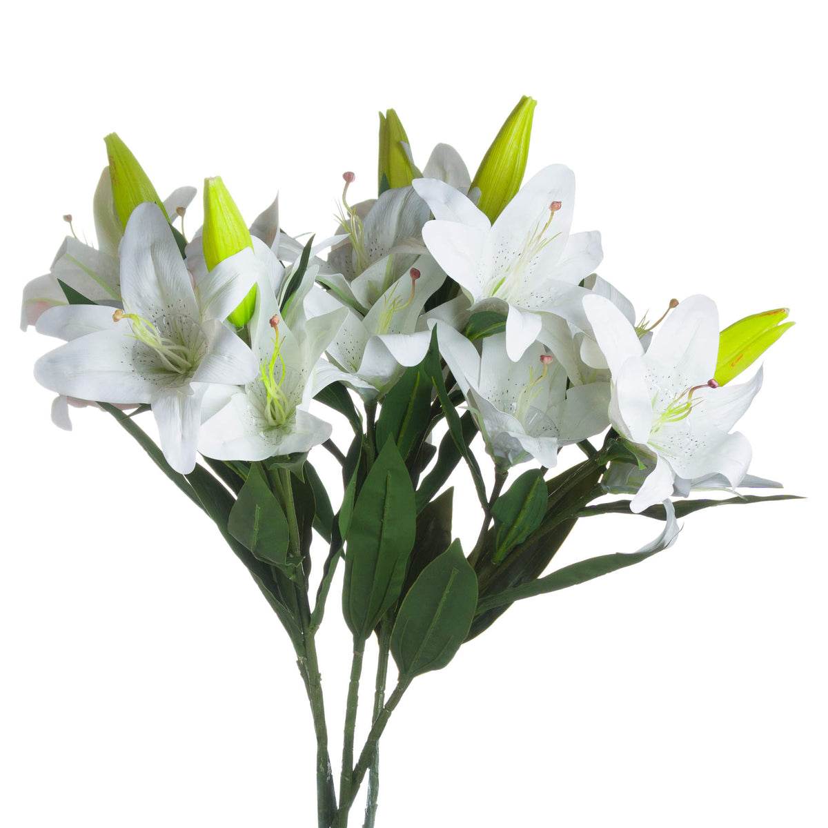 White Madonna Lily Spray