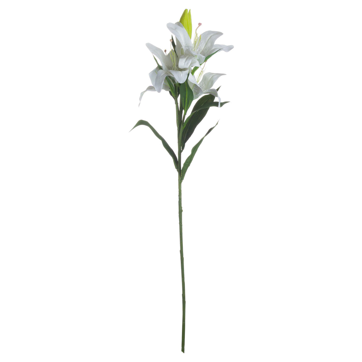 White Madonna Lily Spray