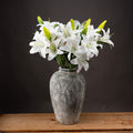 Natural Garden Collection White Nerine Lily Stem - White