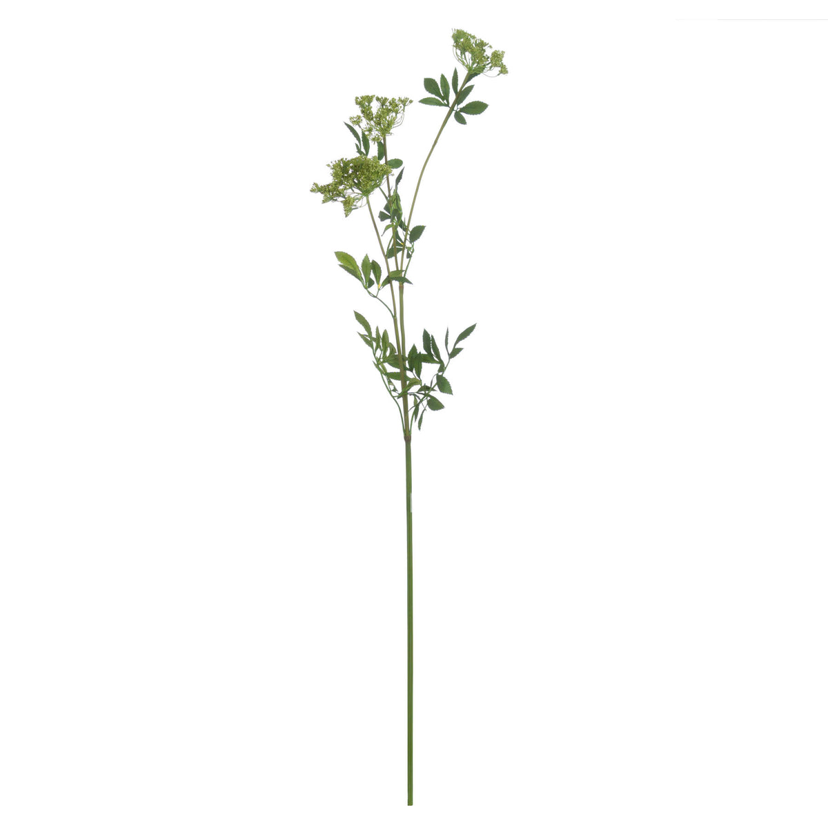 Faux White Cow Parsley Ammi