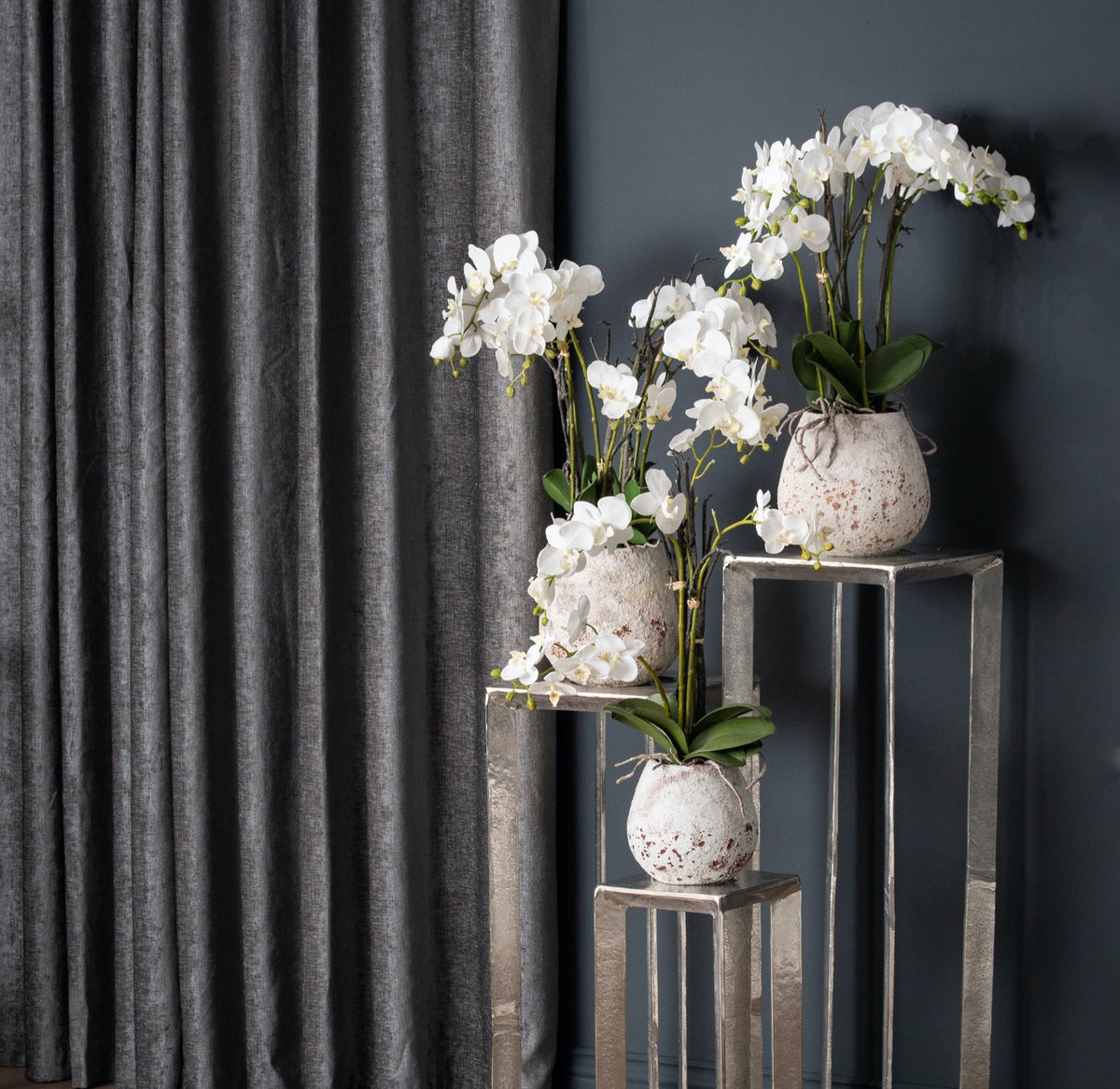 Large White Orchid In Antique Stone Pot