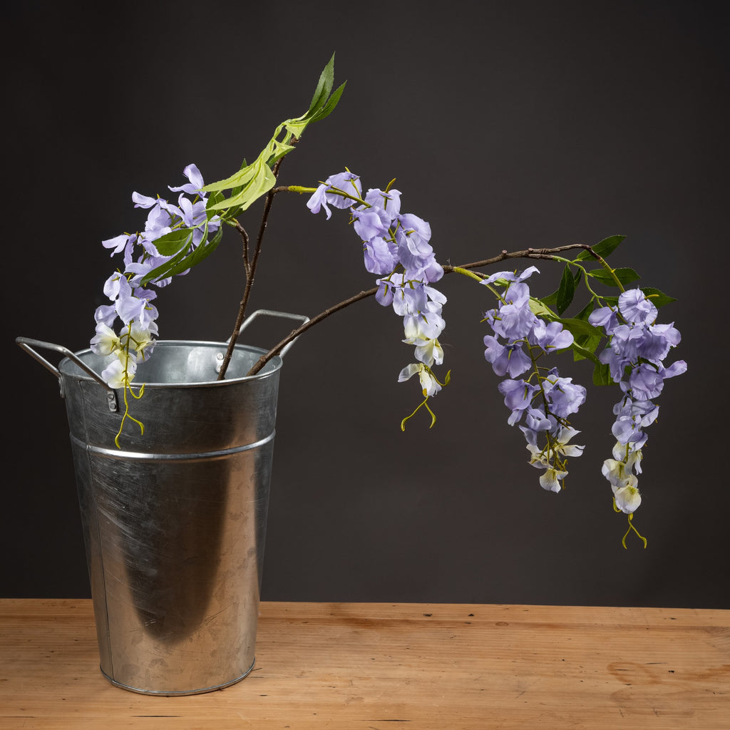 Lilac Wisteria - Lilac