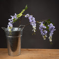 Lilac Wisteria - Lilac