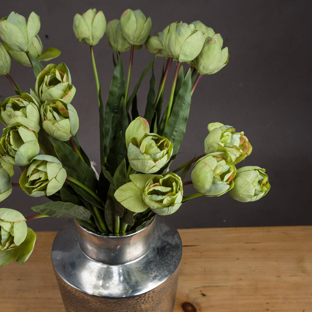 Green Tulip - Green
