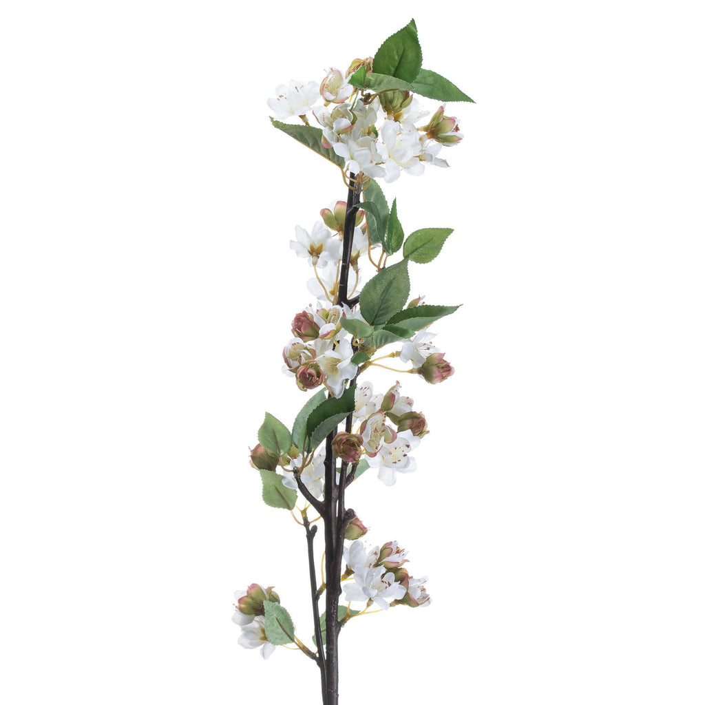 English Blossom Branch - Brown