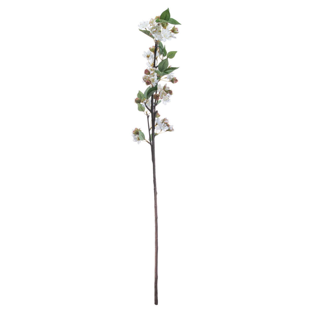 English Blossom Branch - Brown