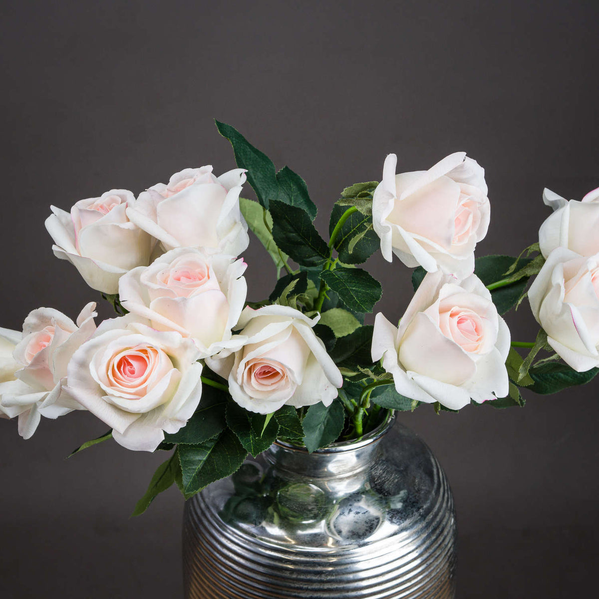 Palest Pink Tea Rose - Pink