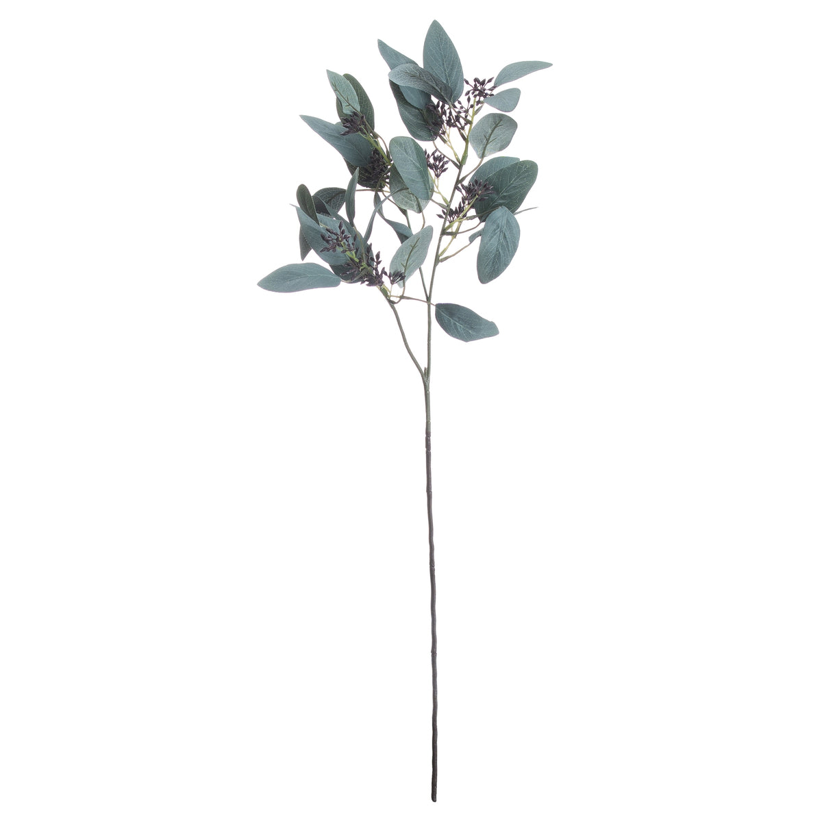 Seeded Eucalyptus Stem - Green