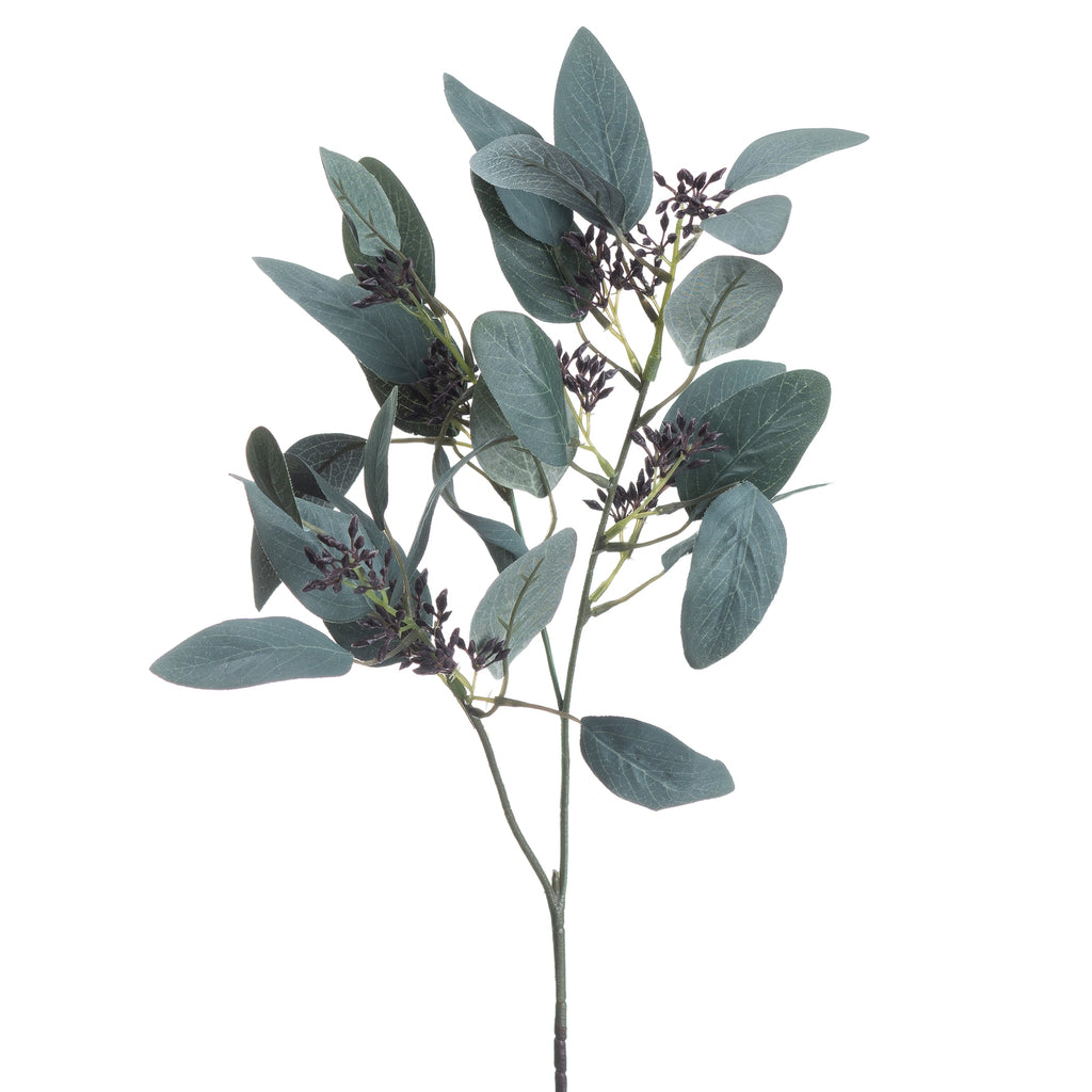 Seeded Eucalyptus Stem - Green