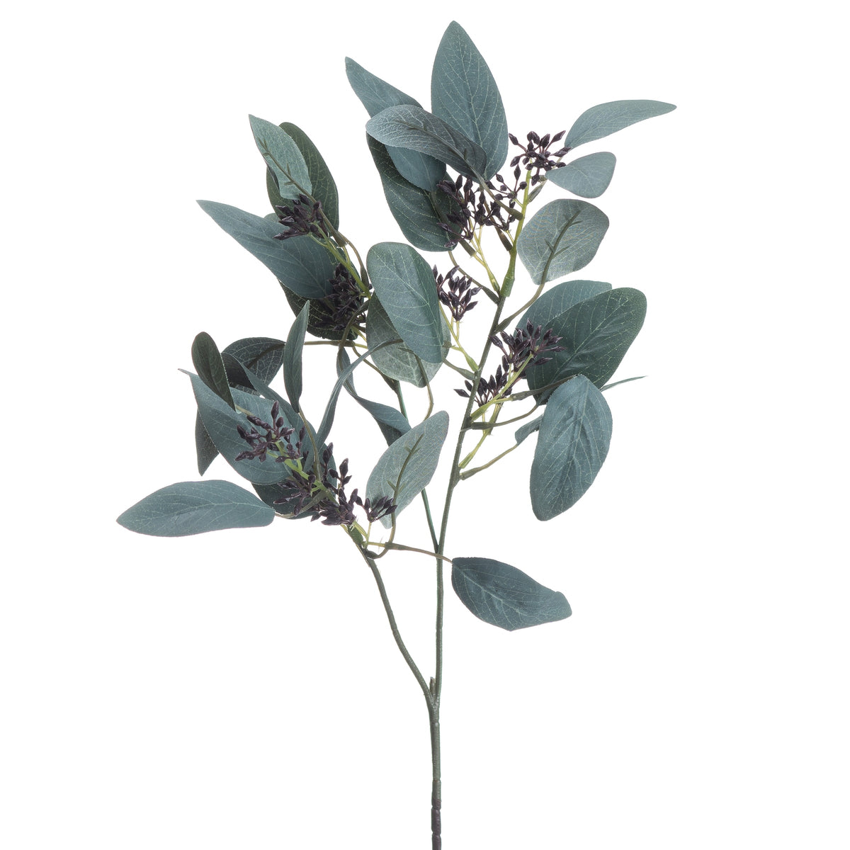 Seeded Eucalyptus Stem - Green