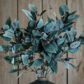 Seeded Eucalyptus Stem - Green
