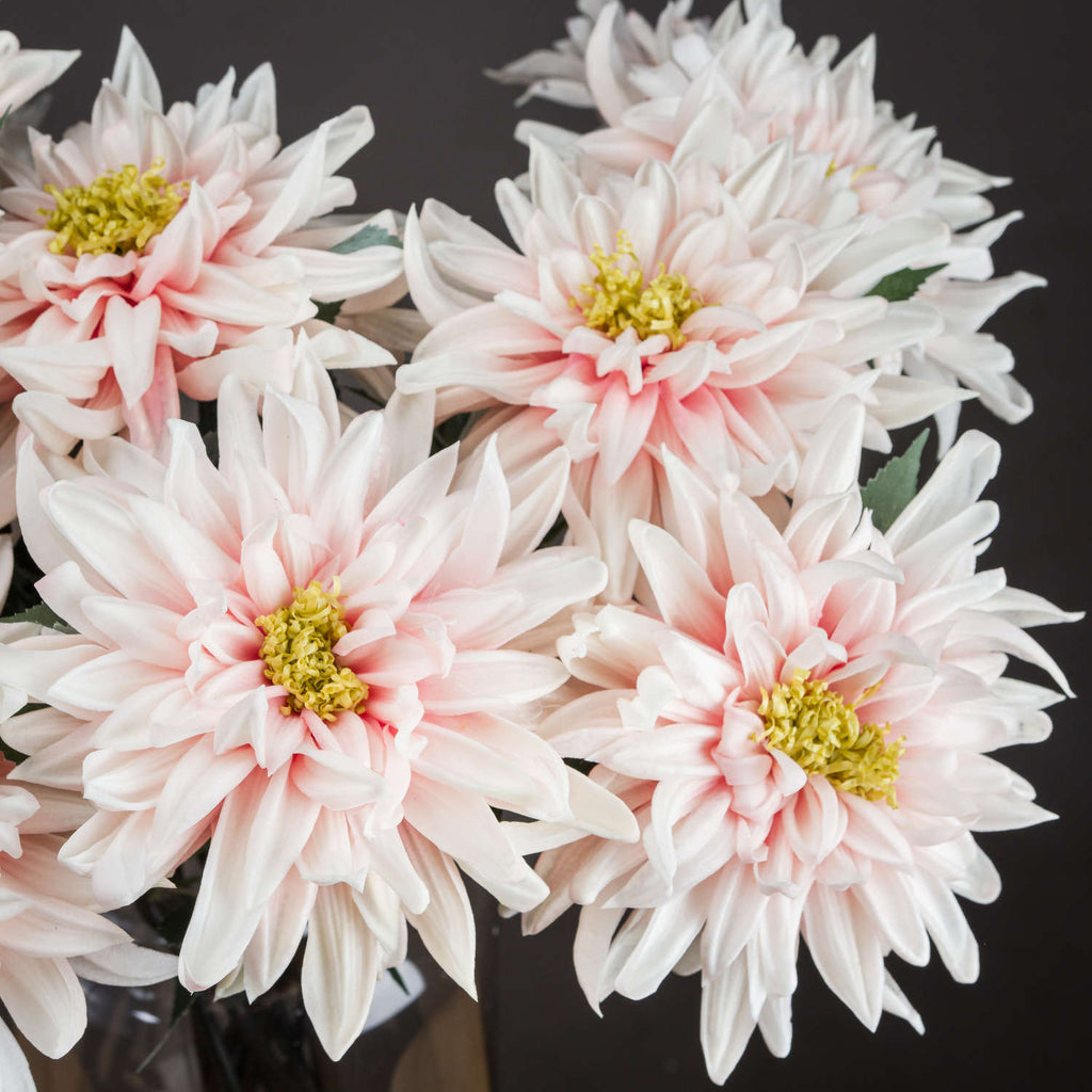 Lush Pink Dahlia - Pink