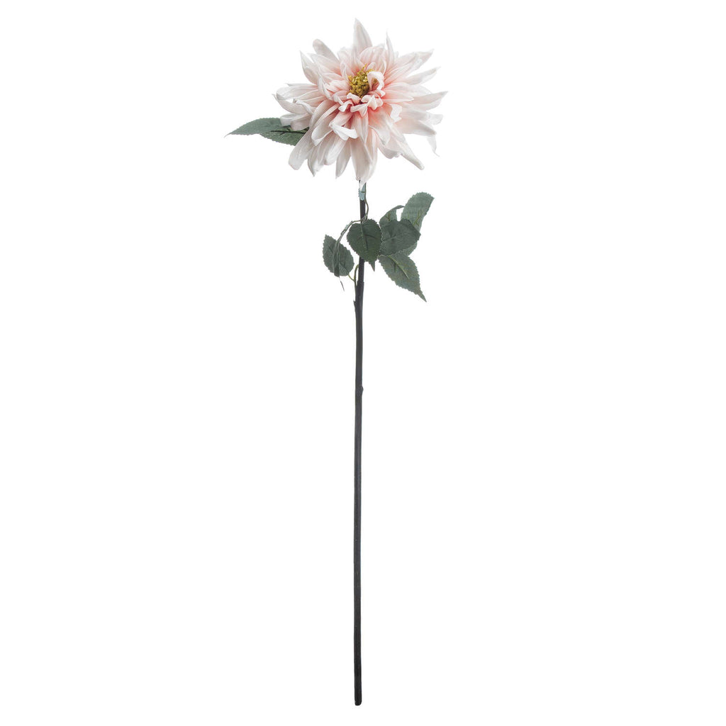 Lush Pink Dahlia - Pink
