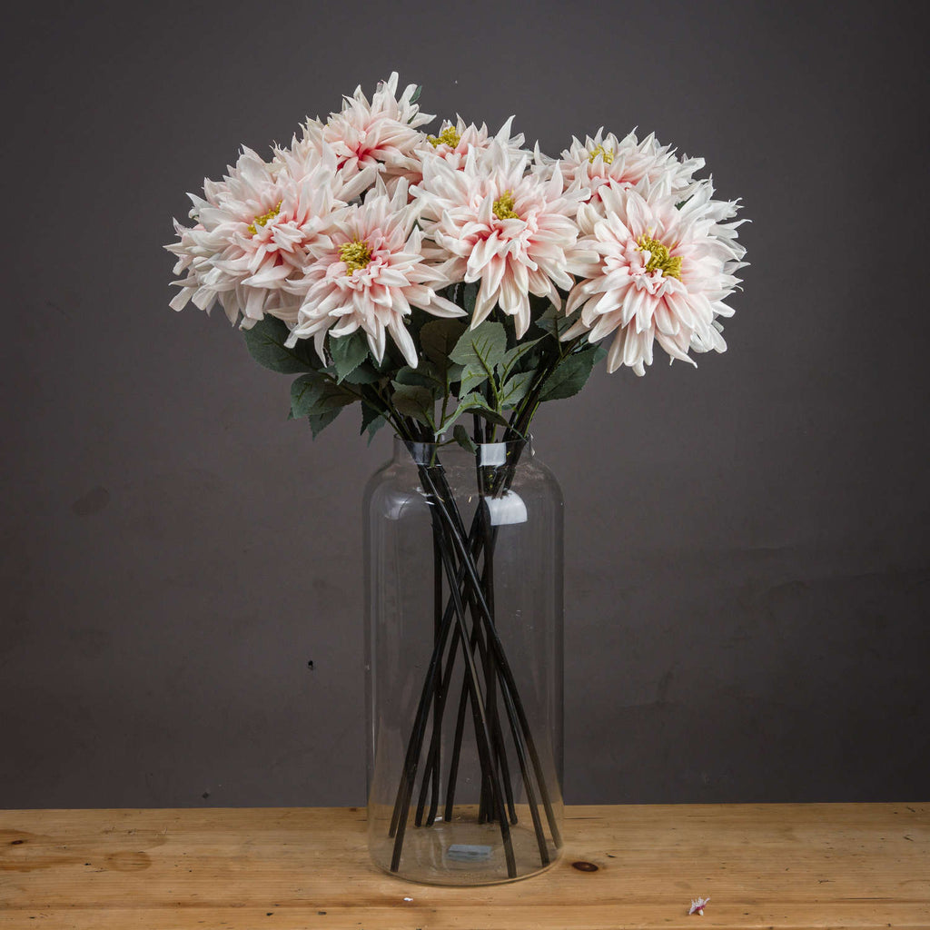 Lush Pink Dahlia - Pink
