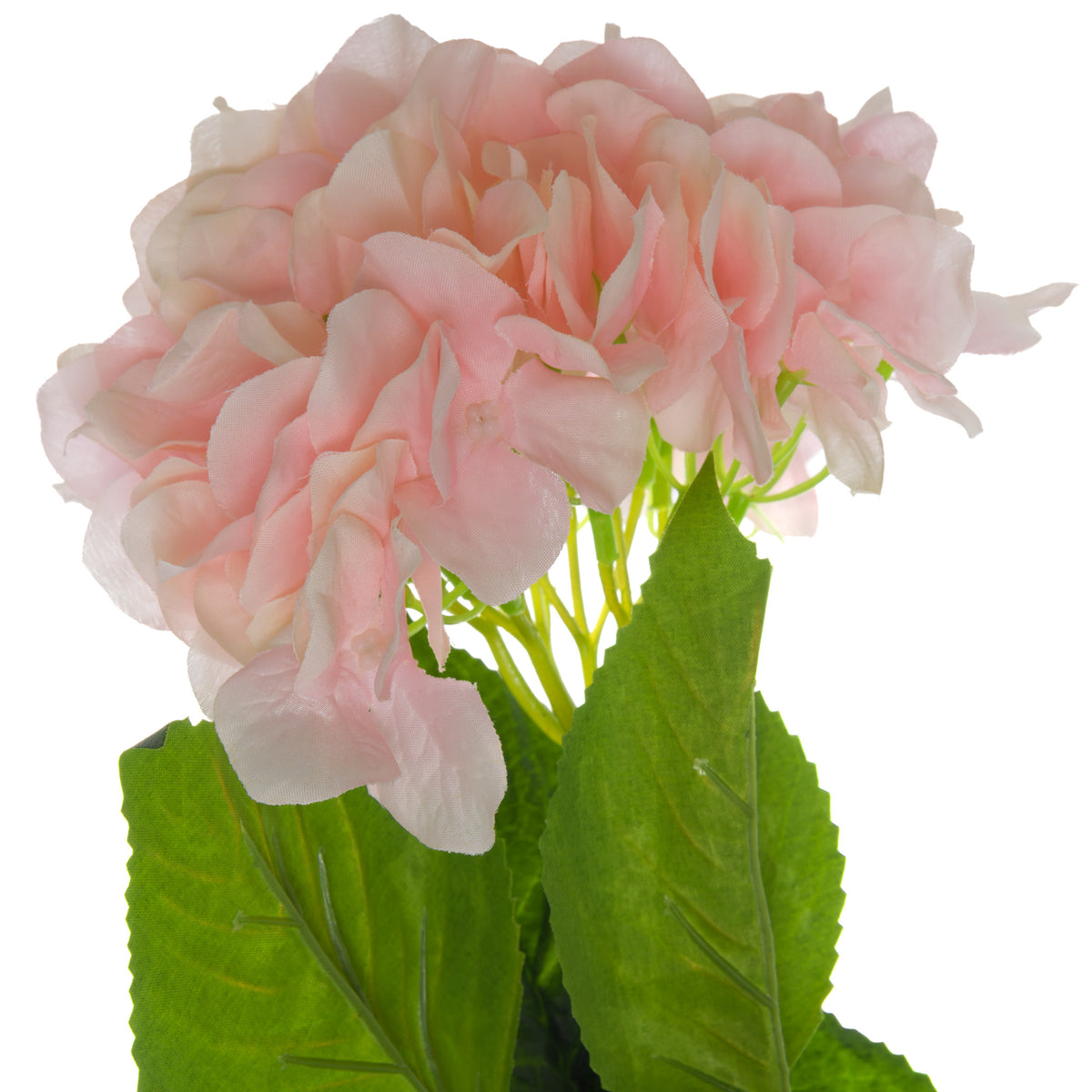 Shabby Pink Single Hydrangea - Pink