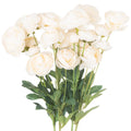 Soft Cream Ranunculus