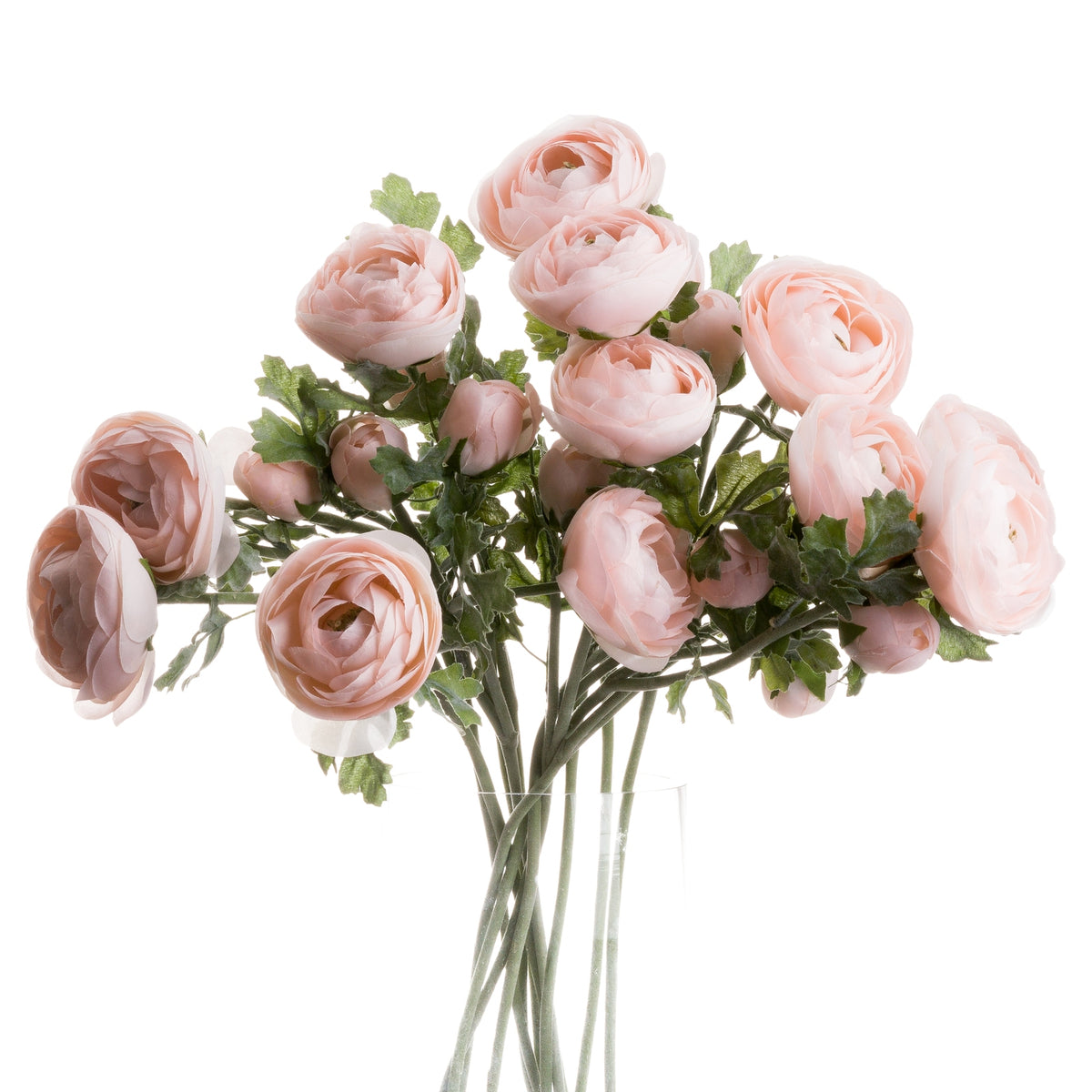 Pastel Pink Ranunculus - Pink