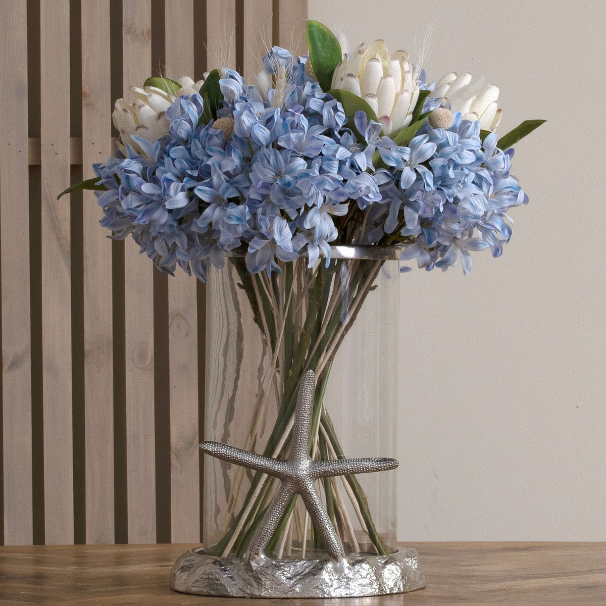 Light Blue Large Headed Agapanthus - Light blue