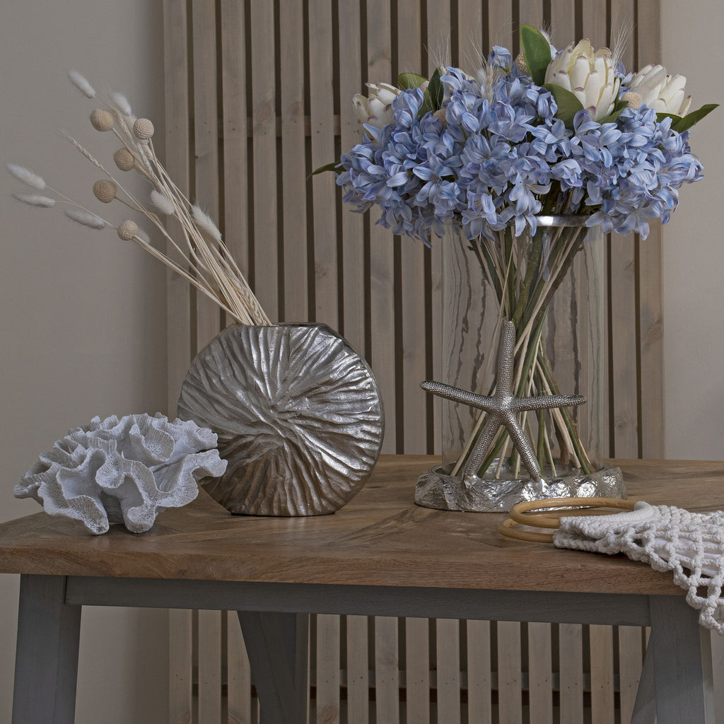 Light Blue Large Headed Agapanthus - Light blue