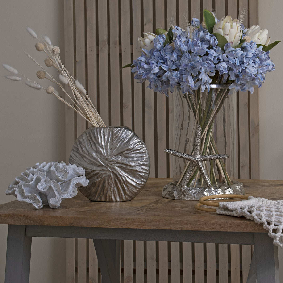 Light Blue Large Headed Agapanthus - Light blue