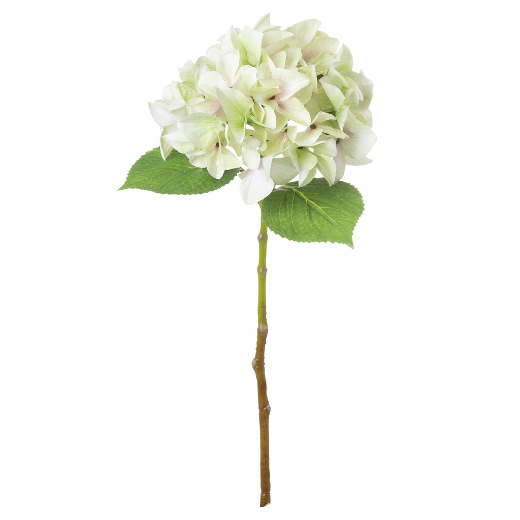 Shabby Green Single Hydrangea - Green