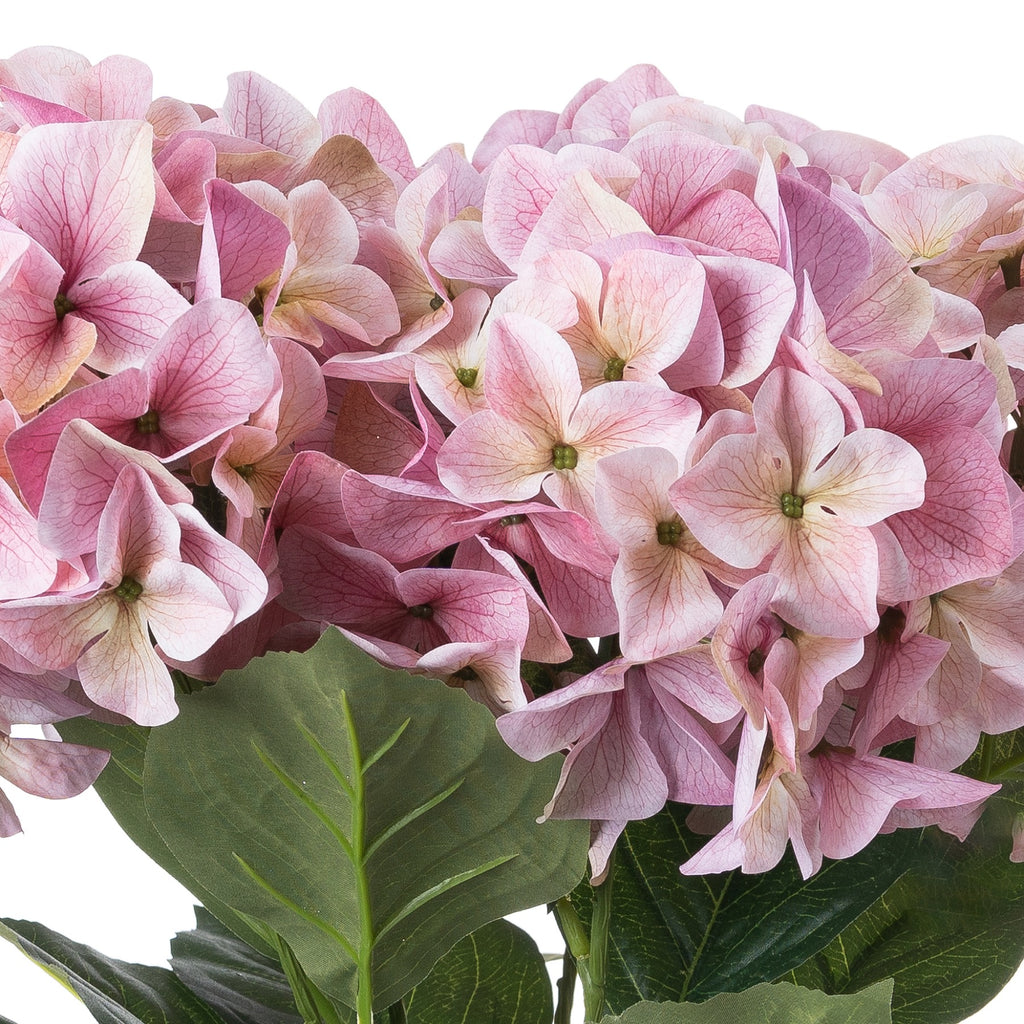 Shabby Pink Hydrangea Bouquet - Pink